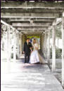 Santa Clara Mission Wedding Photography - Under Trellis 3
